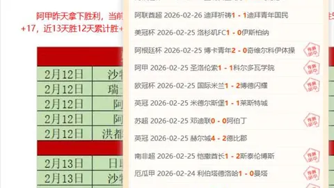 奥比-马丁短板明显，未达曼联一线队标准